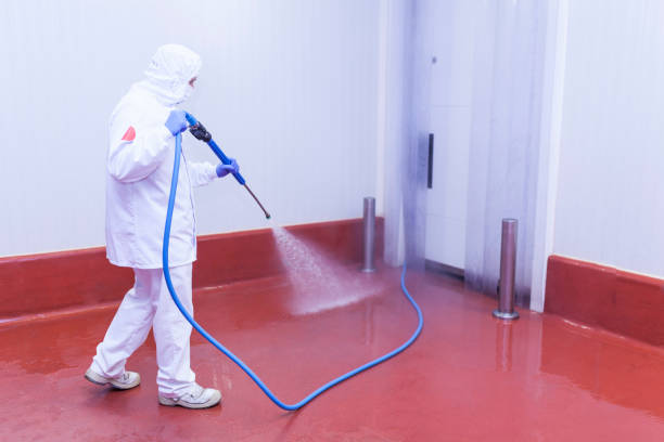 Best Patio and Deck Pressure Washing  in Baton Rouge, LA